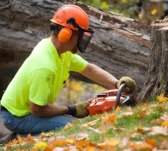 tree services Addison